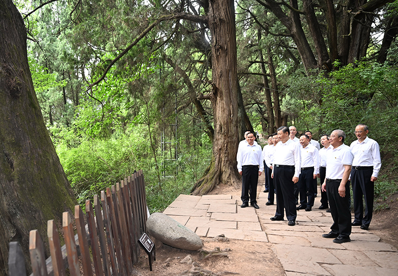 7月25日至27日，中共中央總書記、國家主席、中央軍委主席習近平在四川考察。這是25日下午，習近平在廣元市劍閣縣翠云廊考察。